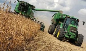 Las lluvias paralizan la cosecha de soja y maíz en zonas críticas y alertan por riesgo de heladas
