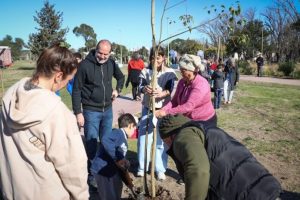 Reforestación en el Parque Independencia: 200 nuevos ejemplares como parte del programa Reverdecer