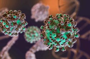 Hantavirus: el total de casos en Argentina asciende a 102