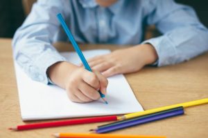 Programa Familias Solidarias