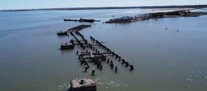 El CGPBB adjudicó la construcción del nuevo muelle de Cerri